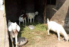 微信图片_20170926101025